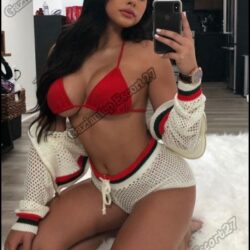 Gaziantep Vip Escort Ayla