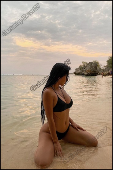 evlere temizleğe gelen gaziantep escort