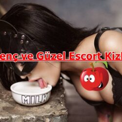 Sınırsız Gaziantep Escort